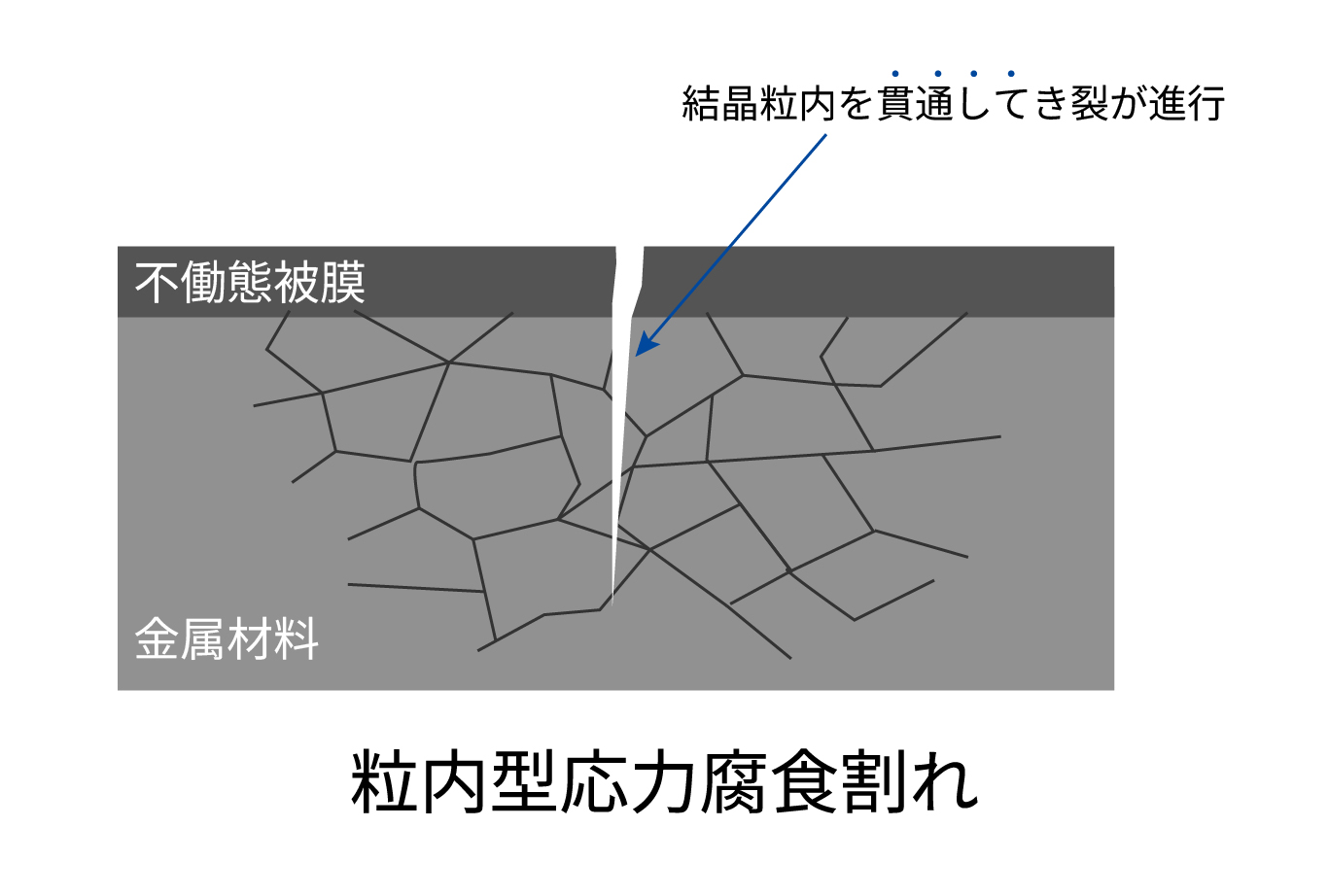 粒内型応力腐食割れ