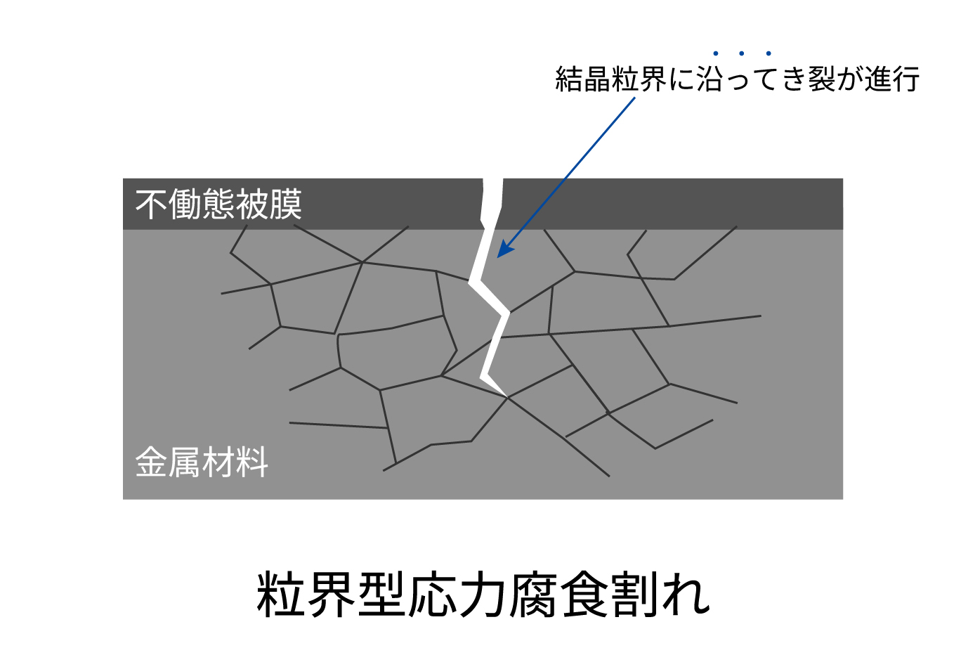 粒界型応力腐食割れ