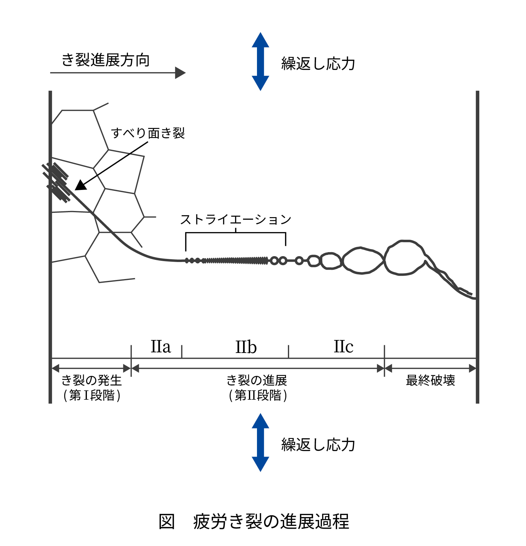 き裂の発生から進展、最終破壊までの過程を示した模式図